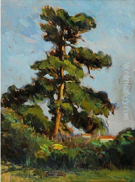 Albero Oil Painting by Giovanni Zangrando