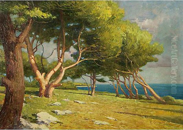 Pineta A Cigale Oil Painting by Giovanni Zangrando