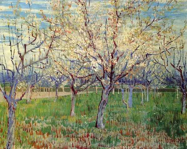 Orchard With Blossoming Apricot Trees Oil Painting by Vincent Van Gogh