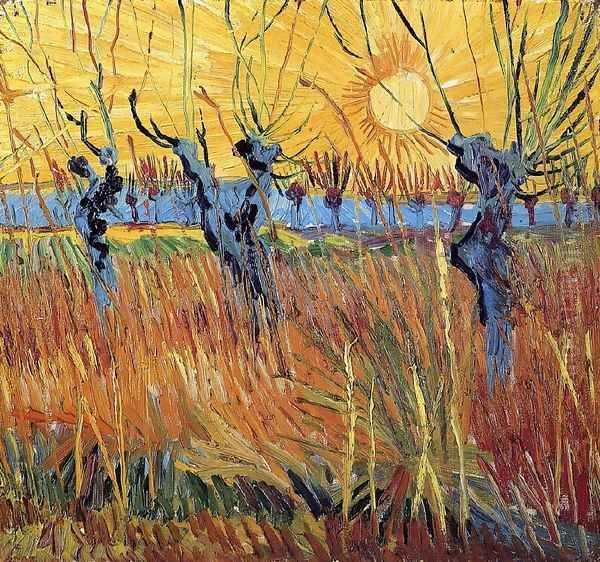 Pollard Willow with Setting Sun Oil Painting by Vincent Van Gogh