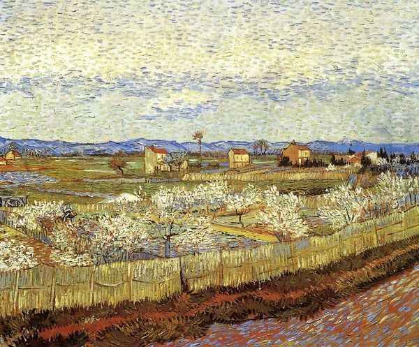 La Crau With Peach Trees In Blossom Oil Painting by Vincent Van Gogh