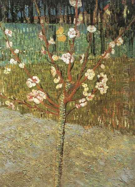 Flowering Almond Tree Oil Painting by Vincent Van Gogh