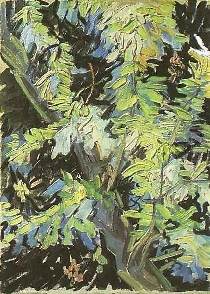 Blossoming Acacia Branches Oil Painting by Vincent Van Gogh