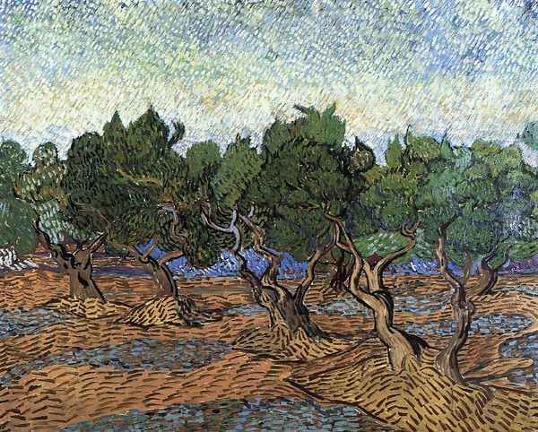 Olive Grove III Oil Painting by Vincent Van Gogh