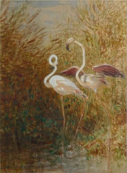 Flamands Roses Dans Les Roseaux Oil Painting by Felix Ziem