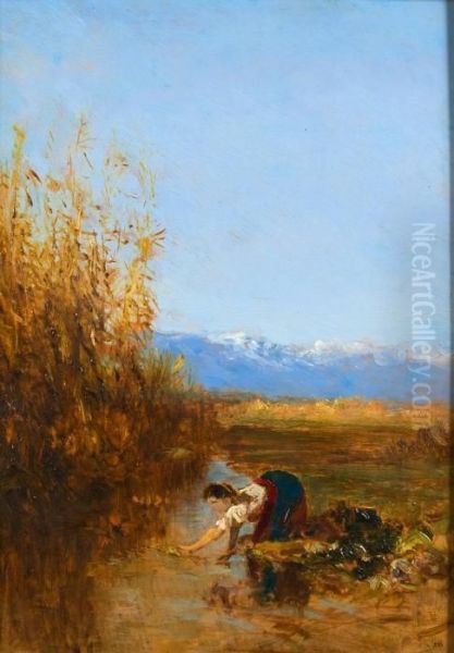 Lavandiere En Provence Oil Painting by Felix Ziem