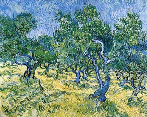 Olive Grove II Oil Painting by Vincent Van Gogh