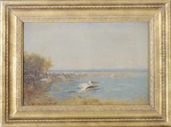 Pelicans Oil Painting by Felix Ziem