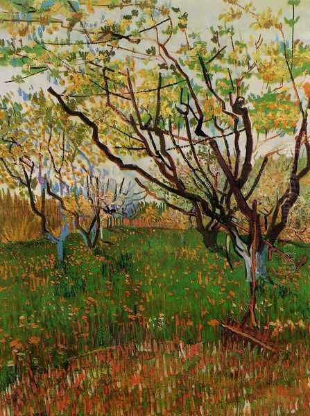 Orchard In Blossom III Oil Painting by Vincent Van Gogh