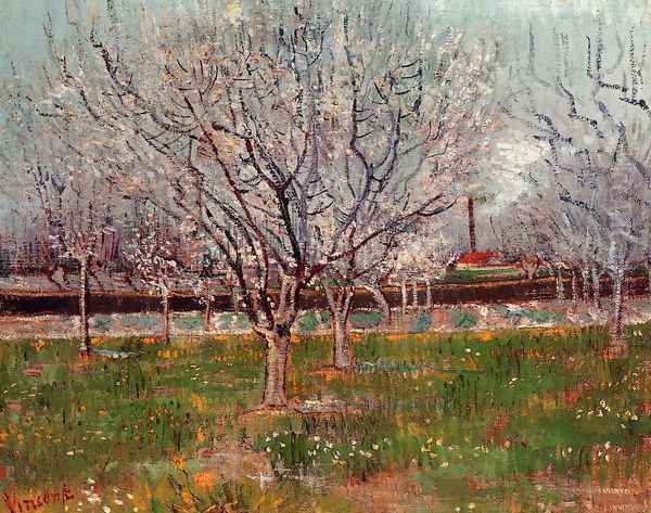 Orchard In Blossom Bordered By Cypresses Oil Painting by Vincent Van Gogh