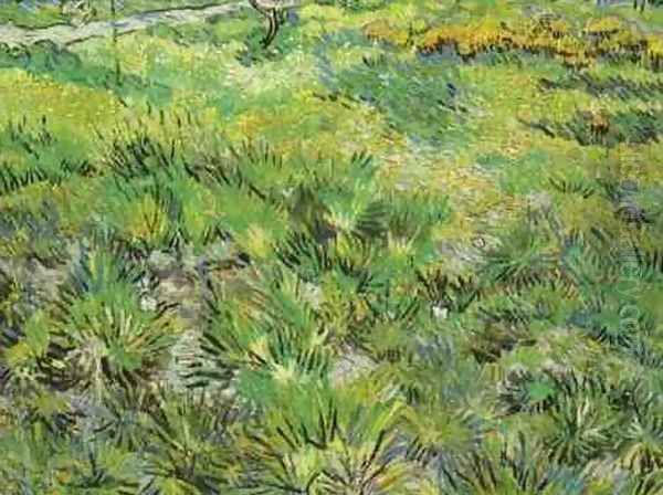 Meadow In The Garden Of Saint Paul Hospital Oil Painting by Vincent Van Gogh