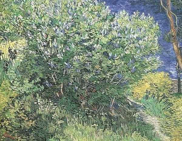 Lilacs II Oil Painting by Vincent Van Gogh