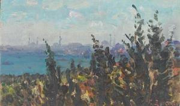 The Golden Horn From Galata, Constantinople Oil Painting by Fausto Zonaro