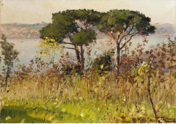 Two Pines On The Hills Above Beylerbeyi, Istanbul Oil Painting by Fausto Zonaro