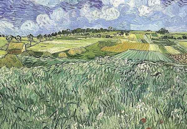 Plain Near Auvers Oil Painting by Vincent Van Gogh