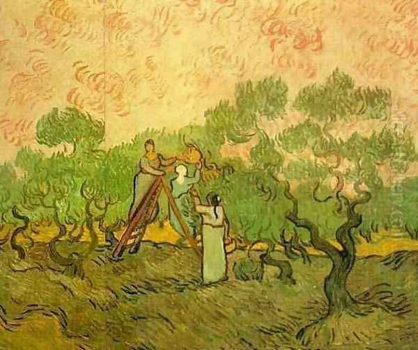 Olive Picking II Oil Painting by Vincent Van Gogh