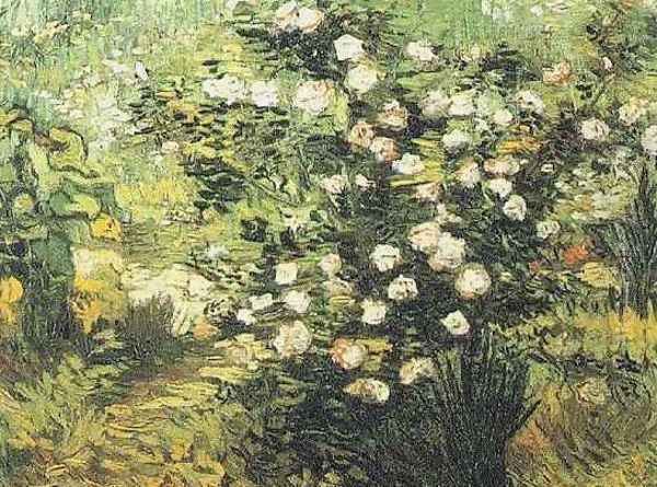 Rosebush In Blossom Oil Painting by Vincent Van Gogh