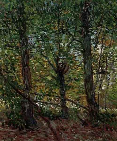 Trees And Undergrowth Oil Painting by Vincent Van Gogh