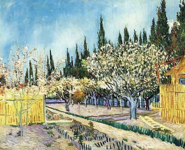 Orchard Surrounded by Cypresses Oil Painting by Vincent Van Gogh