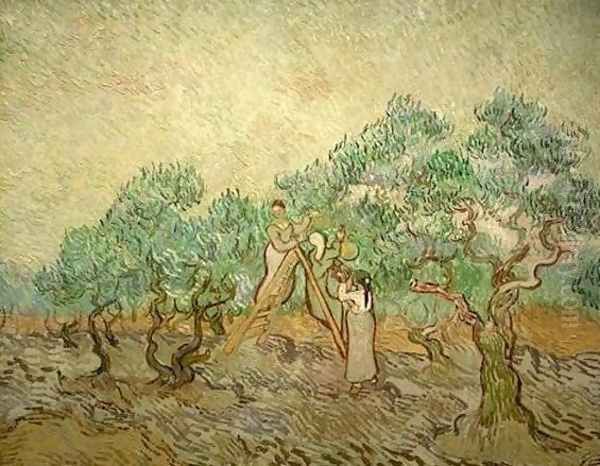 Olive Picking III Oil Painting by Vincent Van Gogh