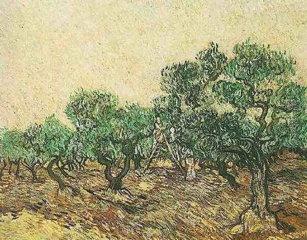 Olive Picking Oil Painting by Vincent Van Gogh