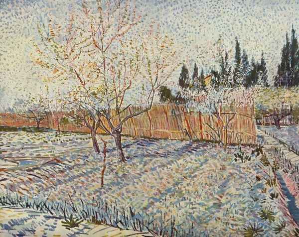 field on winter Oil Painting by Vincent Van Gogh