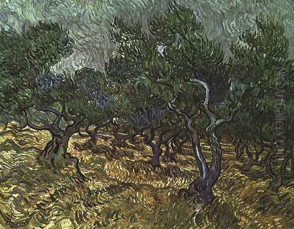 The Olive Grove Oil Painting by Vincent Van Gogh