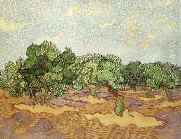 Olive Grove 3 Oil Painting by Vincent Van Gogh