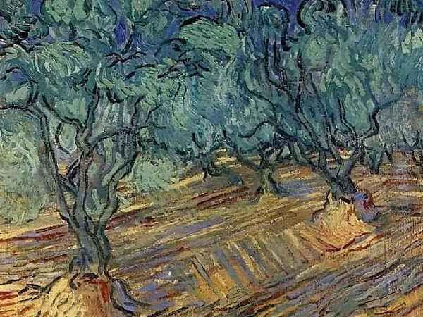 Olive Grove 2 Oil Painting by Vincent Van Gogh