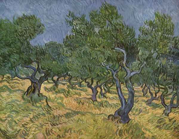 Plantation d'oliviers 1 1889 Oil Painting by Vincent Van Gogh