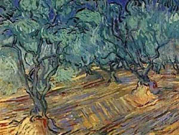 Olive Grove Bright Blue Sky 1889 Oil Painting by Vincent Van Gogh