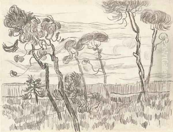 Six pines near the enclosure wall Oil Painting by Vincent Van Gogh