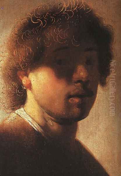 Self-Portrait 1627 Oil Painting by Rembrandt Van Rijn