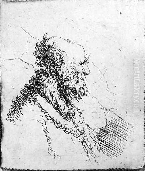 A bald old Man with a short Beard, in Profile Right Oil Painting by Rembrandt Van Rijn