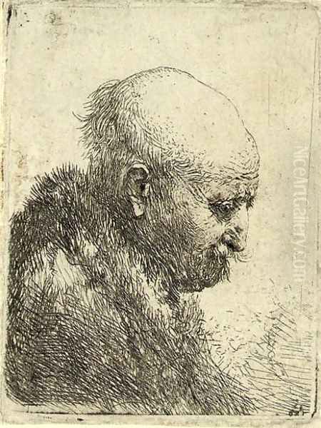 A bald-headed Man in Profile right Oil Painting by Rembrandt Van Rijn