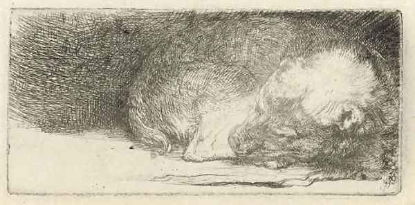 A sleeping Puppy Oil Painting by Rembrandt Van Rijn