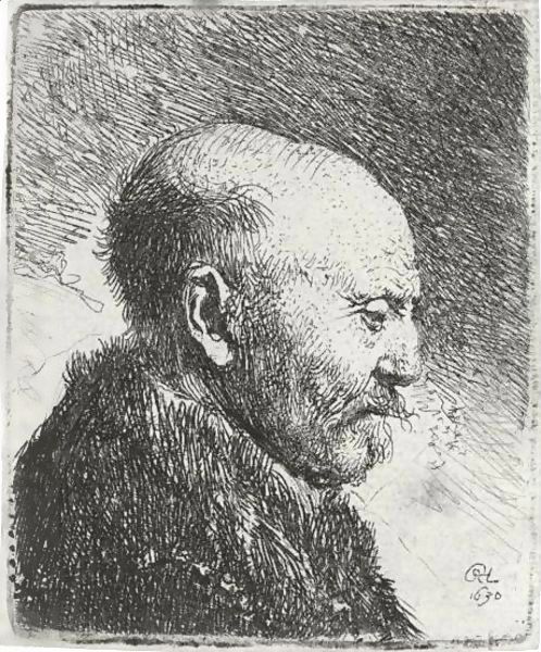 Bald-headed man in Profile Right; The Artist's Father Oil Painting by Rembrandt Van Rijn