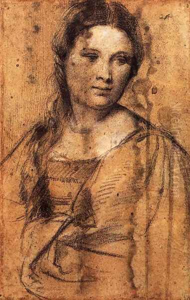 Portrait of a Young Woman (draw) Oil Painting by Tiziano Vecellio (Titian)