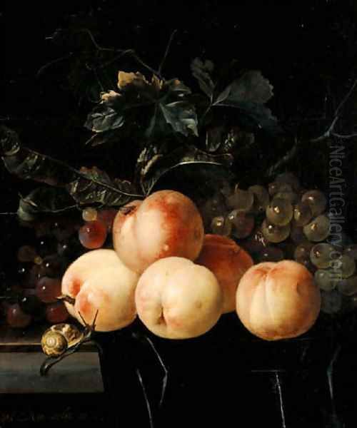 Peaches And Grapes by Willem Van Aelst