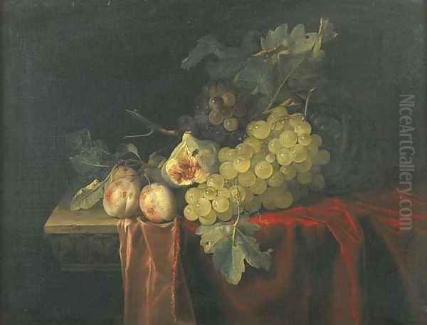 Grapes, plums, figs and a melon, on a partly draped stone ledge Oil Painting by Willem Van Aelst