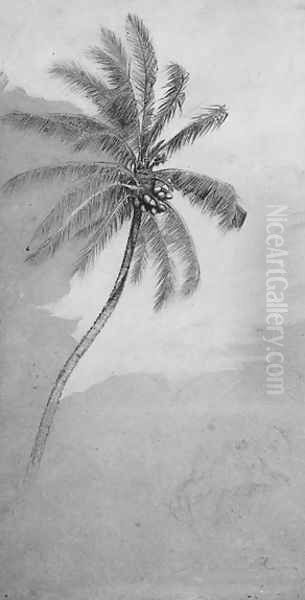 Palm Tree Oil Painting by Elihu Vedder