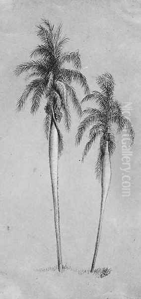 Two Palm Trees Oil Painting by Elihu Vedder