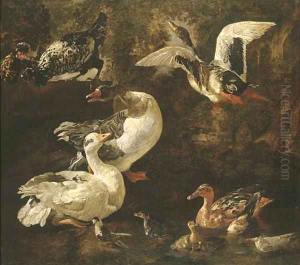 Geese Oil Painting by Jan Victors