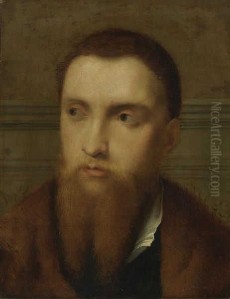 Portrait Of A Bearded Man, Head And Shoulders, In An Interior Oil Painting by Paris Bordone