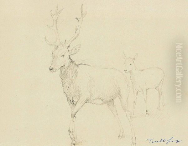 Une Biche Et Un Chevreuil Oil Painting by Felix Dominique De Vuillefroy