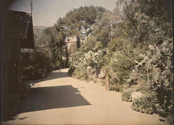 Chateau De Theoule-sur-mer, Allee Bordee De Cactus Oil Painting by Leon Gimpel