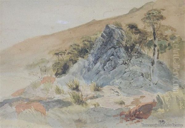 Rocks, Dun Mountain Oil Painting by John Gully