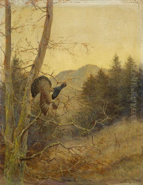 Balzender Auerhahn; Zwei Auerhahne Oil Painting by Max Sen. Hanger