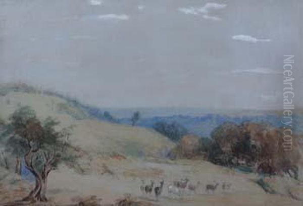 Deer At Richmond Park Oil Painting by James Duffield Harding