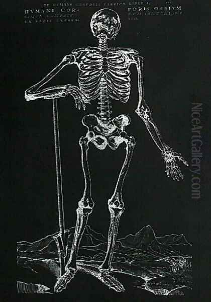 Human Skeleton 2 Oil Painting by Andreas Vesalius